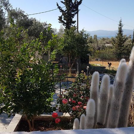 Panorama Διαμέρισμα Ερέτρια Εξωτερικό φωτογραφία